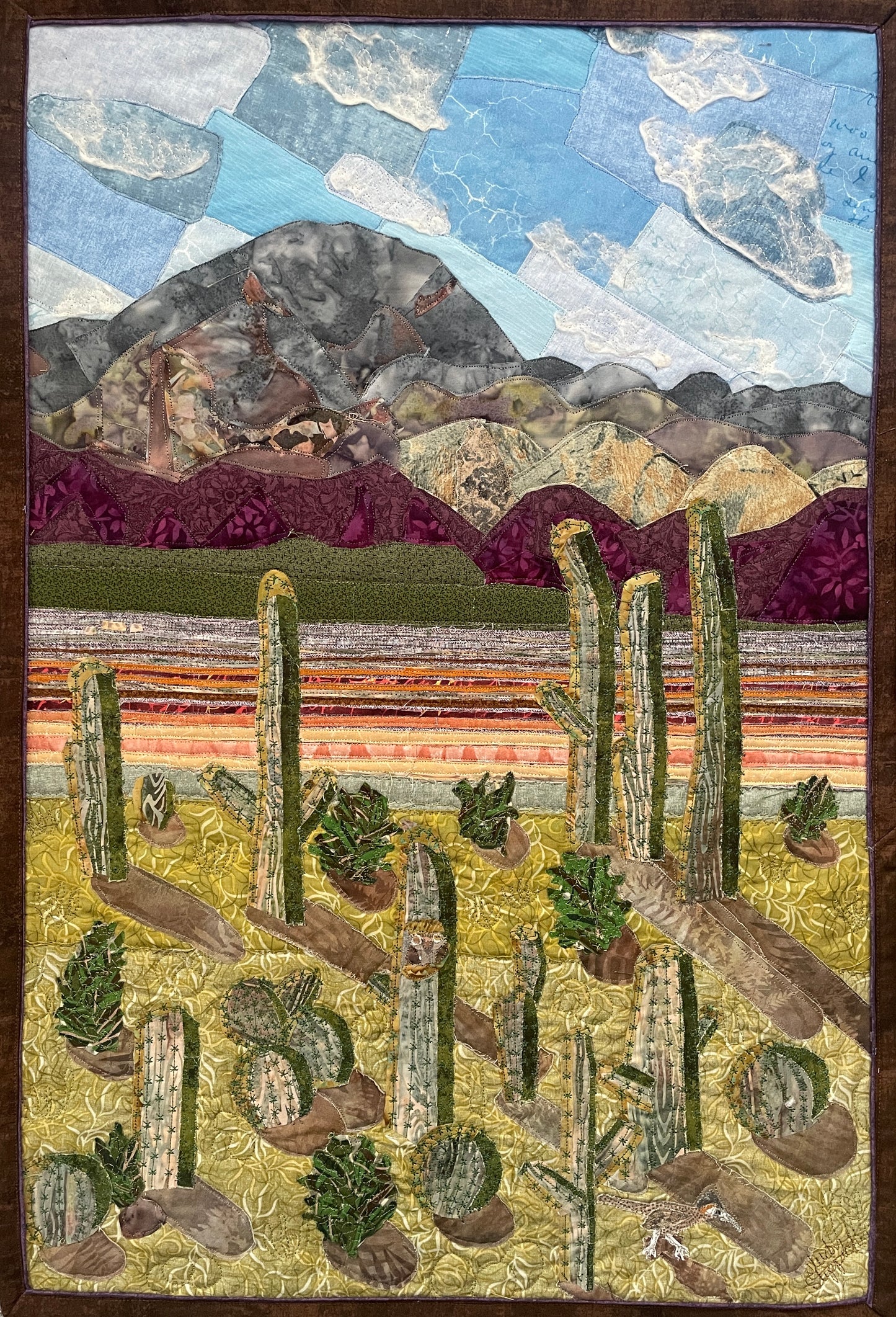 Saguaro National Park, AZ