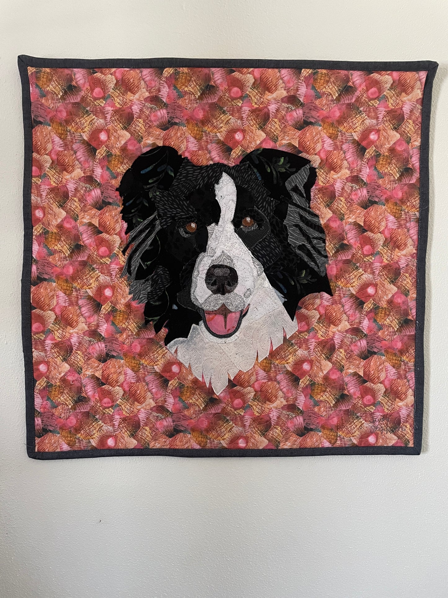 Black and White Border Collie