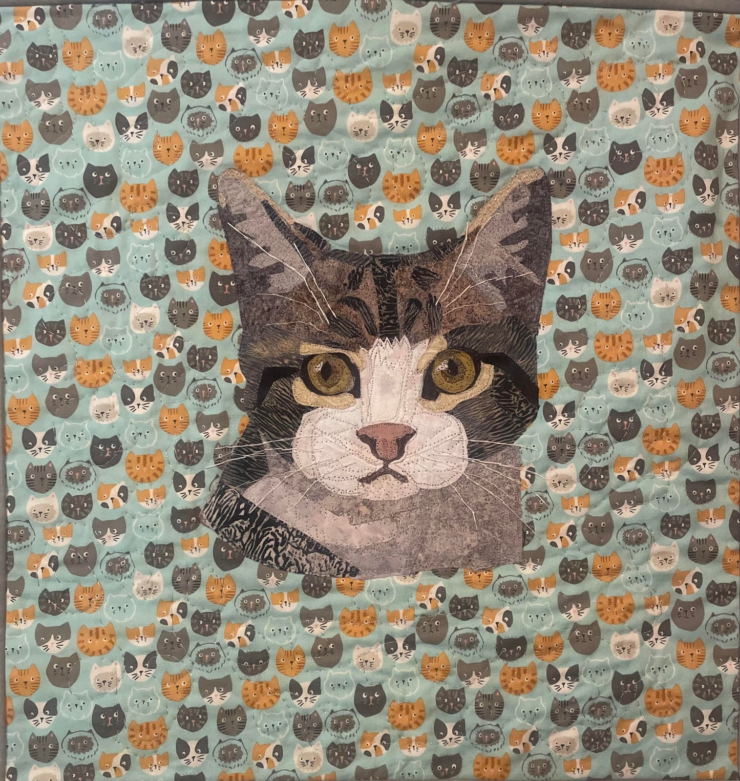 Handsome among cats